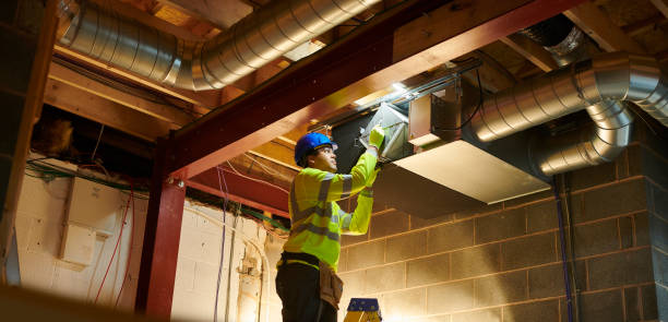 Best Dryer Vent Cleaning Services  in Quitman, TX
