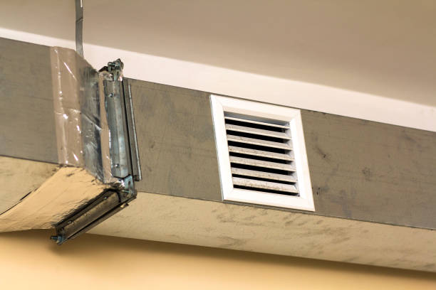 Best Local Air Duct Cleaning Services  in Quitman, TX